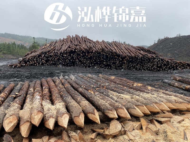 6米長松木樁有哪些作用，多少錢一根？