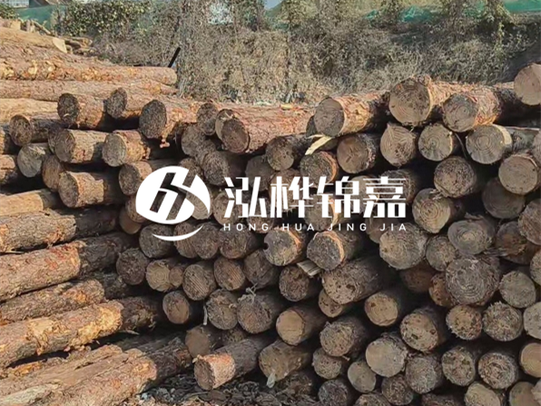 落葉松木材的主要產(chǎn)地在哪里？為什么比其他松木更耐腐蝕？