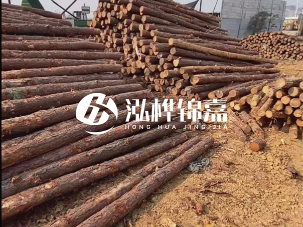 河道木樁施工遇到淤泥怎么辦？打多深才能防沖刷？
