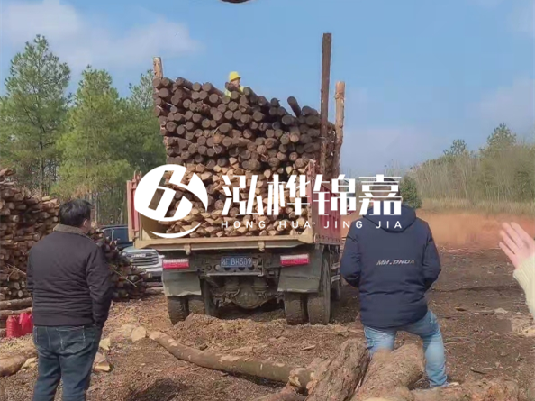 防腐木樁價(jià)格比普通木樁貴多少？防腐木樁有哪些處理方式？