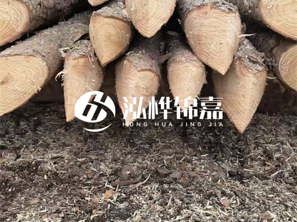打樁木樁與鋼樁相比有哪些優(yōu)缺點(diǎn)？如何進(jìn)行后期維護(hù)？