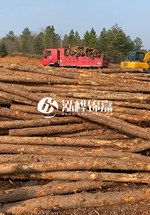 8米小頭11-13CM的松木樁價格是多少？打樁施工怎么算？