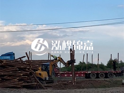 河北打樁木源頭廠家泓樺錦嘉 - 北方常用打樁木是什么？