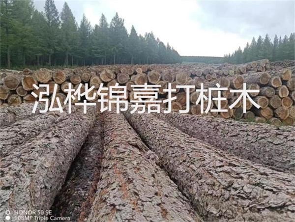 高效施工，圓松木樁助力建筑工程進展順利
