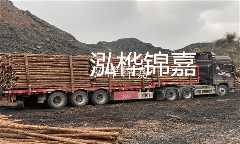 河道杉木樁保護(hù)生態(tài)環(huán)境，促進(jìn)河道治理