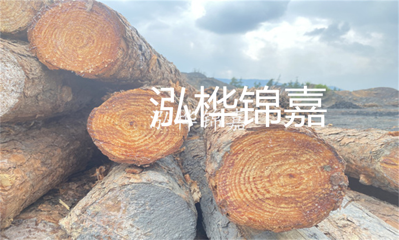 杉木樁5米長價格-打造堅固的基礎(chǔ)，穩(wěn)固未來之道
