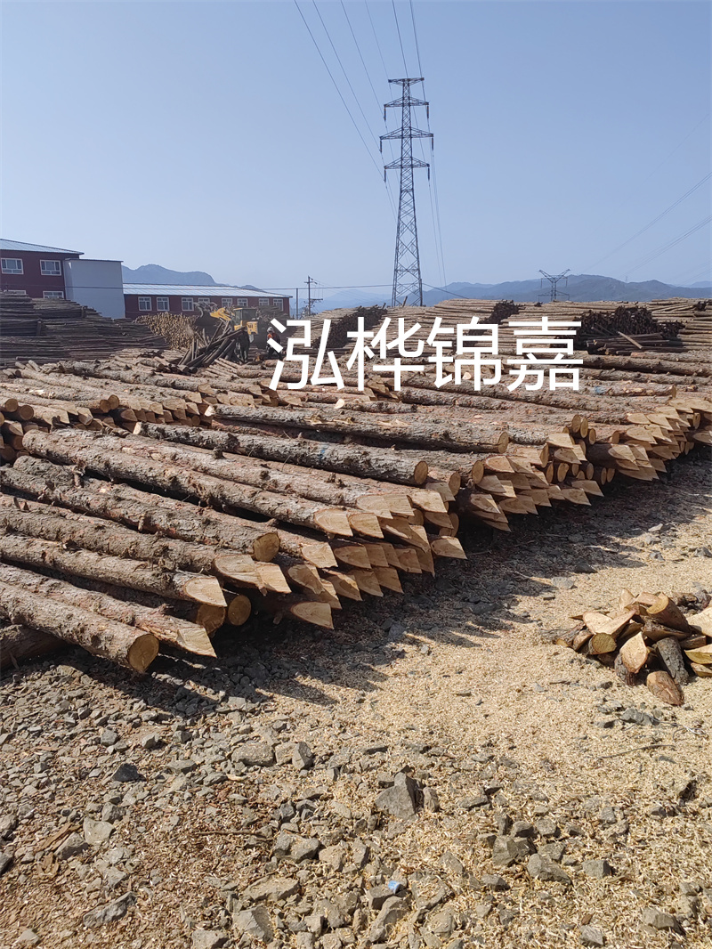 探索杉木樁施工技術(shù)，提升工程質(zhì)量