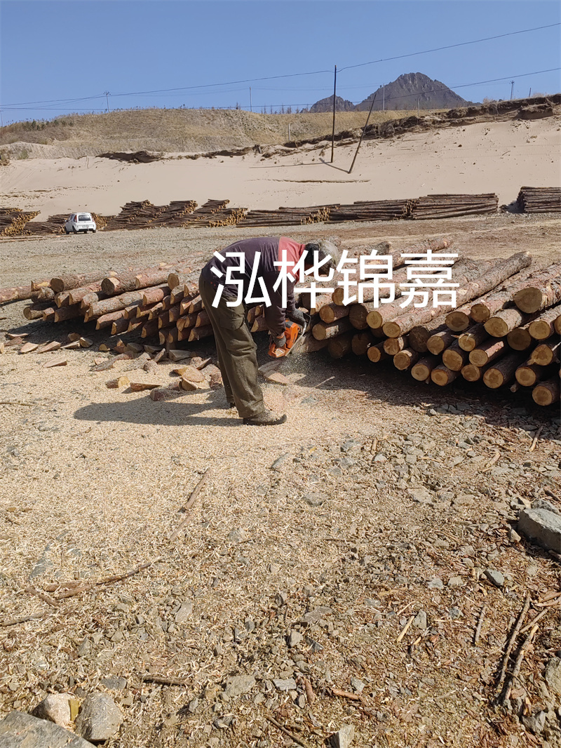 河道杉木樁施工工藝——保護(hù)生態(tài)，筑就長遠(yuǎn)發(fā)展之基
