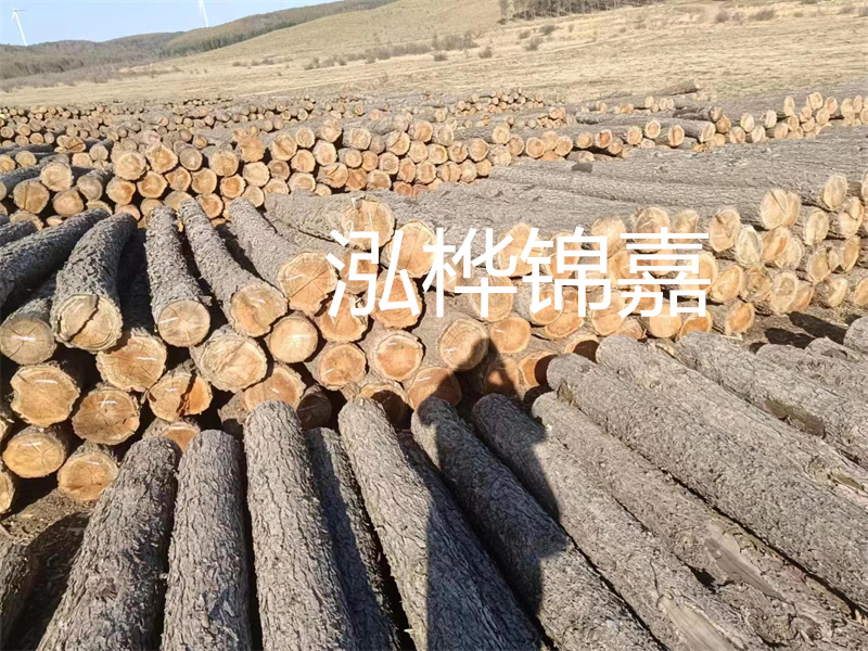 鹽城松木樁河道圍堰施工，保護生態(tài)環(huán)境，打造美麗城市
